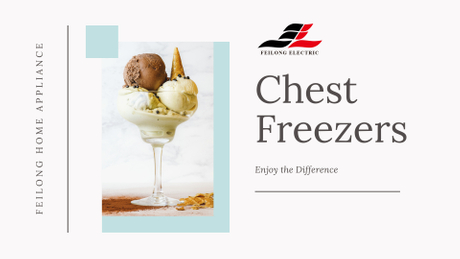 Most Efficient Commercial Upright Deep Freezer on Wheels